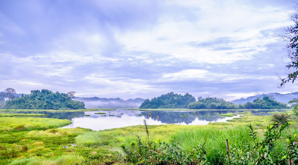 Crocodile lake in Cat Tien National Park in Vietnam