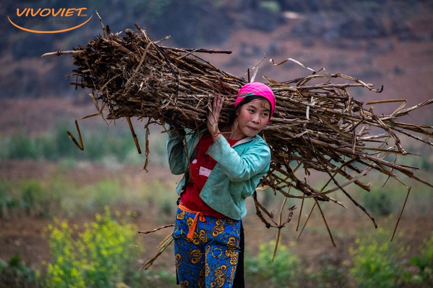 Female rural worker northern Vietnam
