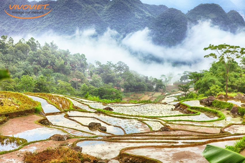 Terraced rice field in water season in Pu Luong, Thanh Hoa, Viet