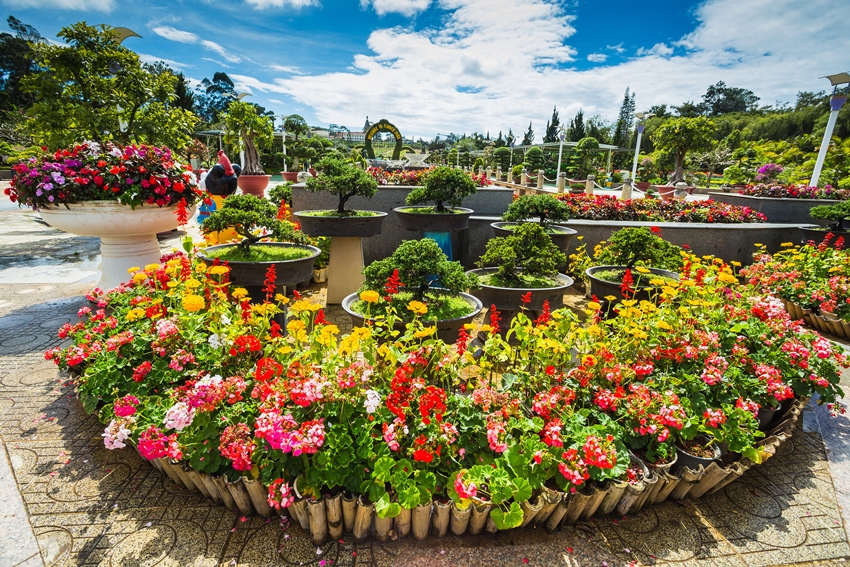 City flower garden in Dalat, Vietnam