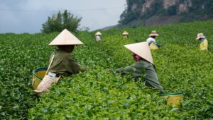 Comment se déroule votre voyage sur place